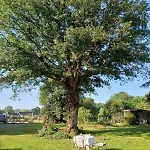 Cosy Au Calme Entre Nantes Et Rennes Nature Et Detente Apartament Conquereuil