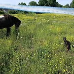 Cosy Au Calme Entre Nantes Et Rennes Nature Et Detente * Conquereuil
