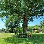 Apartament Cosy Au Calme Entre Nantes Et Rennes Nature Et Detente Conquereuil