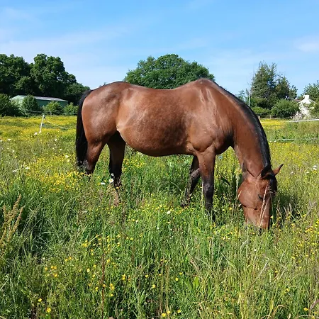 Apartamento Indépendant T1, Entre Nantes Et Rennes *