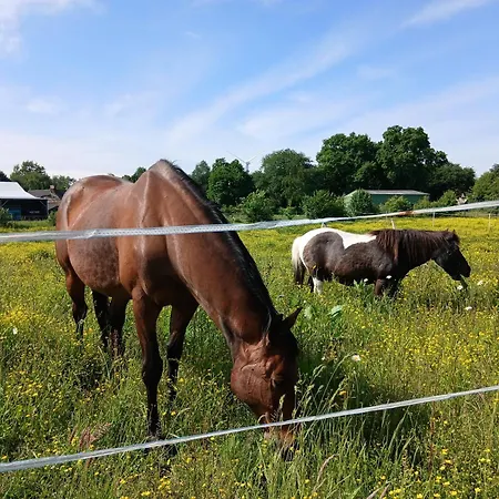 Apartamento Indépendant T1, Entre Nantes Et Rennes Conquereuil