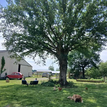 Independant T1, Entre Nantes Et Rennes * Conquereuil