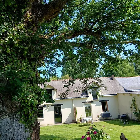 Nature Et Climatise Entre Nantes Et Rennes - Le Poney Rouge Conquereuil