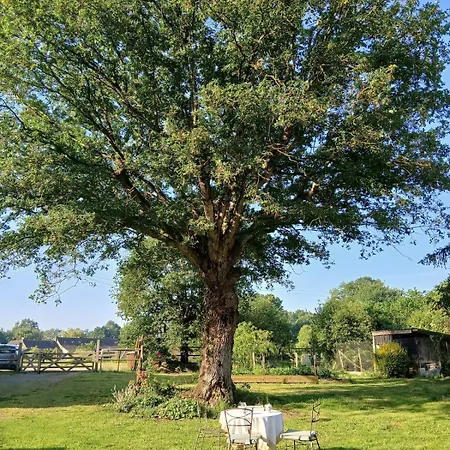 Nature Et Climatise Entre Nantes Et Rennes - Le Poney Rouge דירה Conquereuil