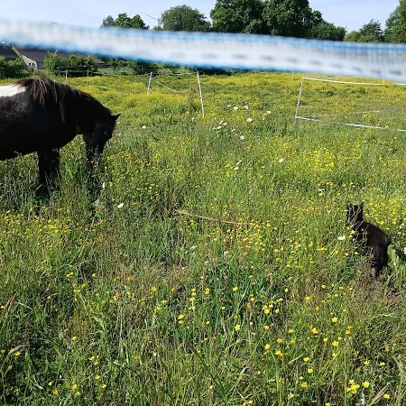 Independant T1, Entre Nantes Et Rennes * Conquereuil