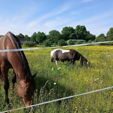 아파트 Independant T1, Entre Nantes Et Rennes *