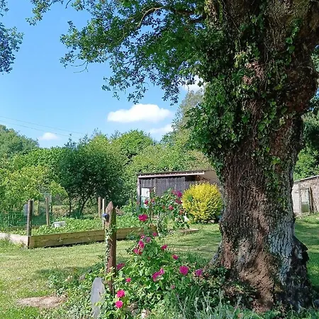 Nature Et Climatise Entre Nantes Et Rennes - Le Poney Rouge * Conquereuil