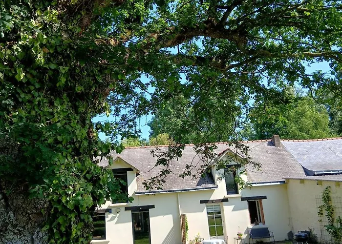 Indépendant T1, Entre Nantes Et Rennes Conquereuil