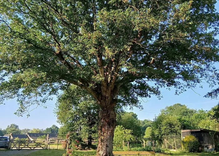 Indépendant T1, Entre Nantes Et Rennes Appartement Conquereuil