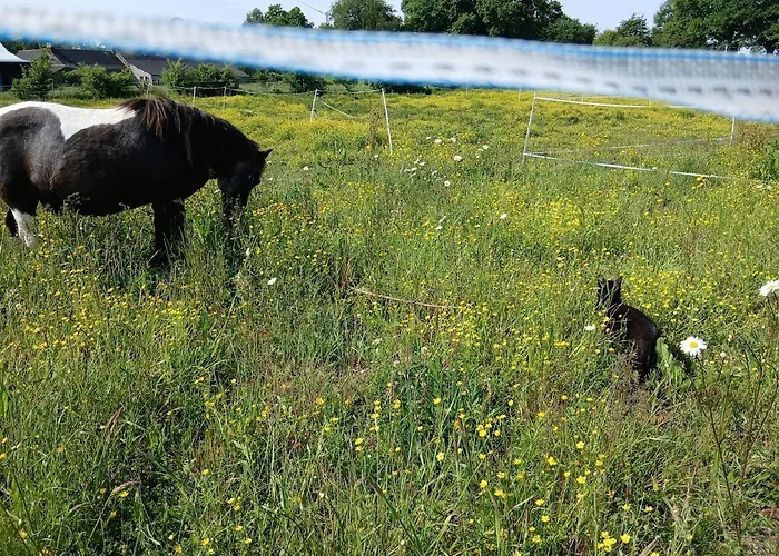 Indépendant T1, Entre Nantes Et Rennes * Conquereuil