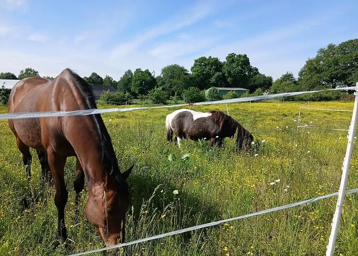 Appartement Indépendant T1, Entre Nantes Et Rennes *