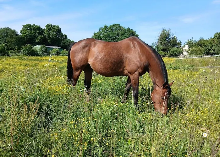 Indépendant T1, Entre Nantes Et Rennes