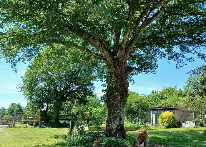 Appartement Indépendant T1, Entre Nantes Et Rennes Conquereuil